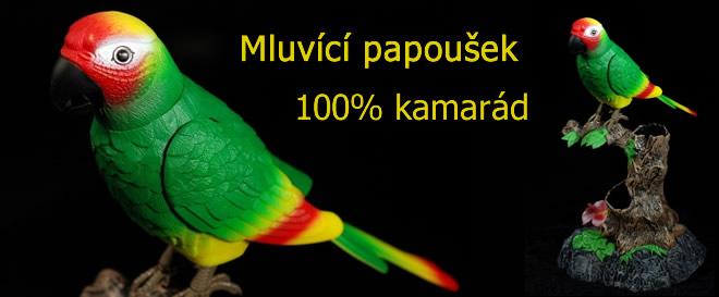 Mluvící papoušek