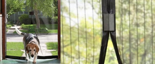 Intell Home Safe Plus odpuzovač much, komárů a mušek