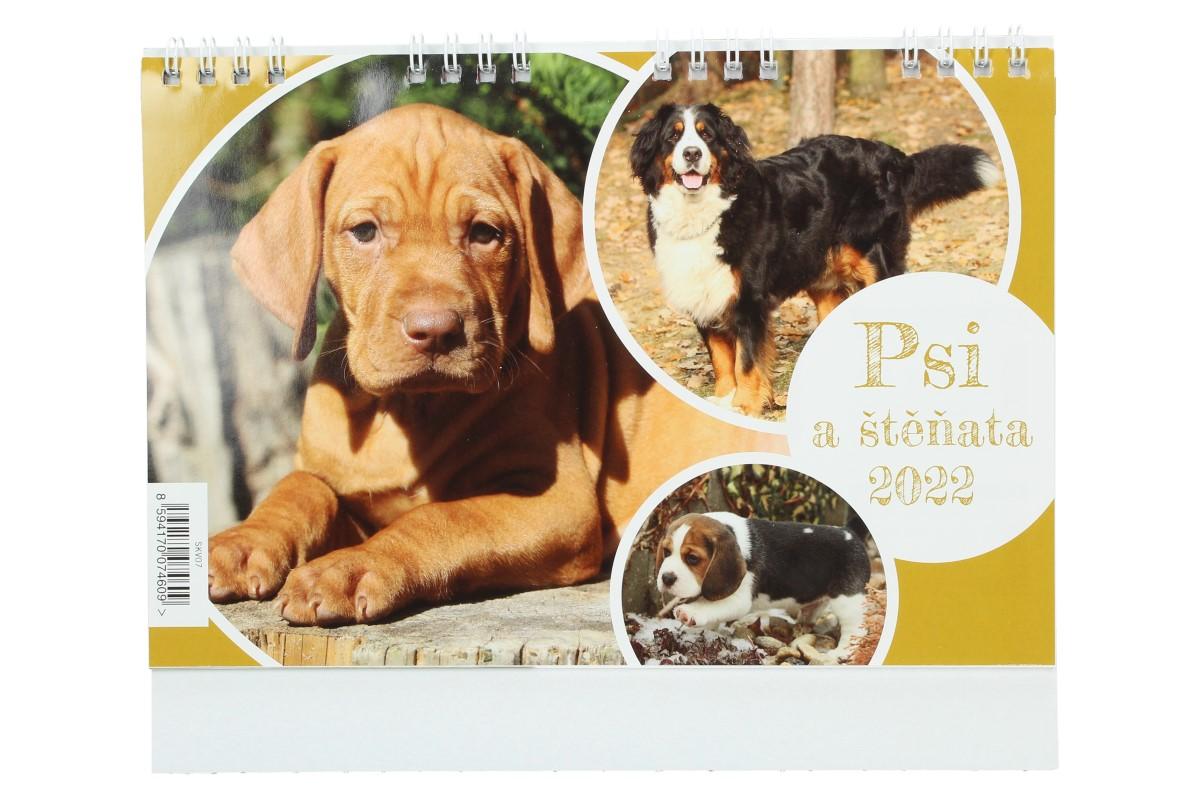 Kalendář 2022 Psi a štěňata 22 x 18 cm