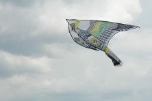 Foto 5 - Létající drak 120 cm orel