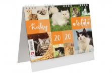 Foto 5 - Kalendář 2020 Kočky a koťata 22 x 17 cm