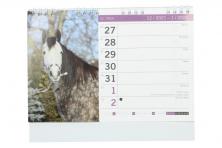 Foto 5 -  Kalendář 2022 Koně 22 x 18 cm