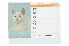 Foto 5 - Kalendář 2022 Kočky a koťata 22 x 18 cm