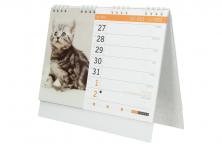 Foto 5 - Kalendář 2022 Kočky a koťata 22 x 18 cm